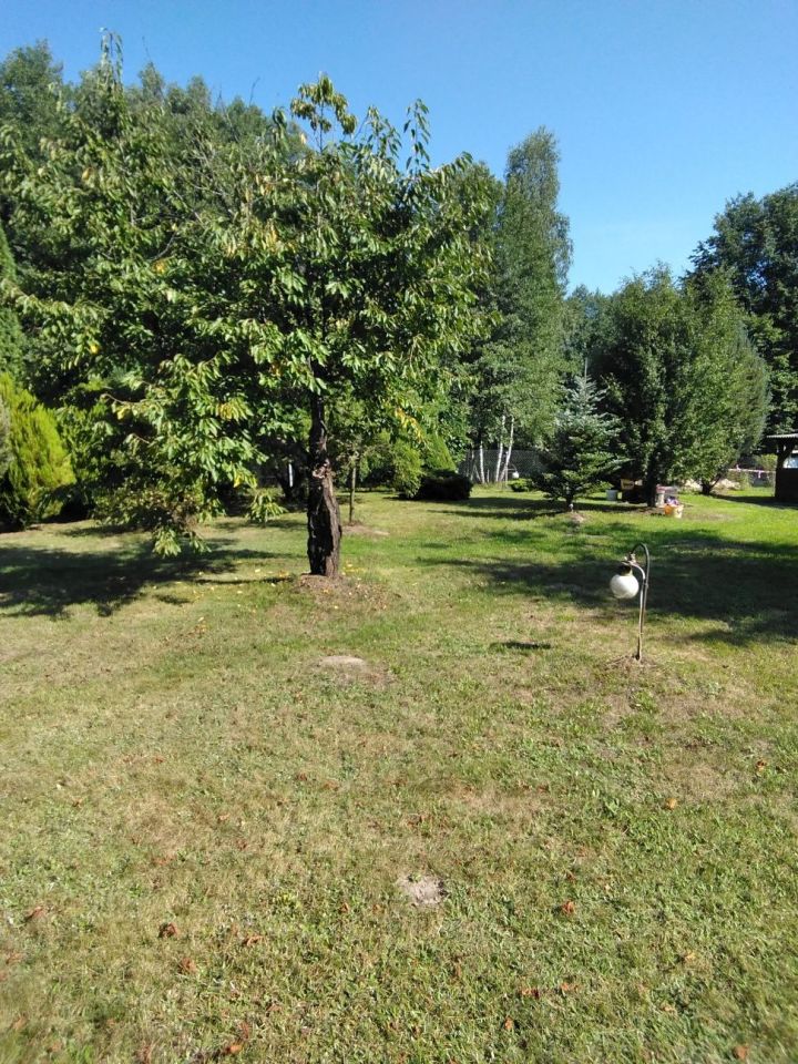 Działka inna Ladeniska. Zdjęcie 1