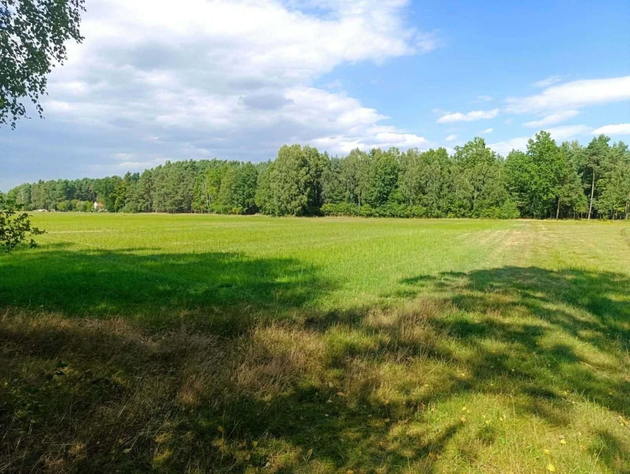 Działka siedliskowa Siedlików. Zdjęcie 4