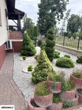 dom wolnostojący, 4 pokoje Krobia. Zdjęcie 3