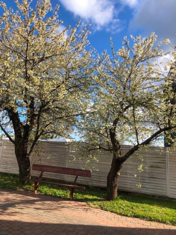 dom wolnostojący, 8 pokoi Olszewo-Borki, ul. Warszawska. Zdjęcie 18