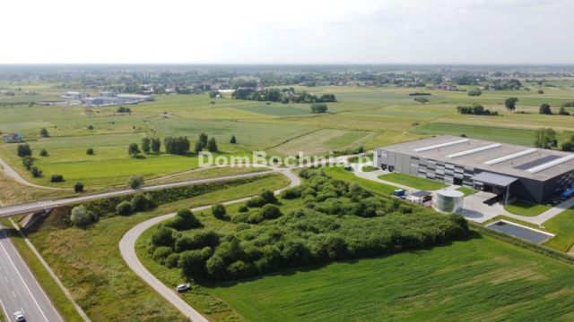 Działka inwestycyjna Krzeczów. Zdjęcie 2