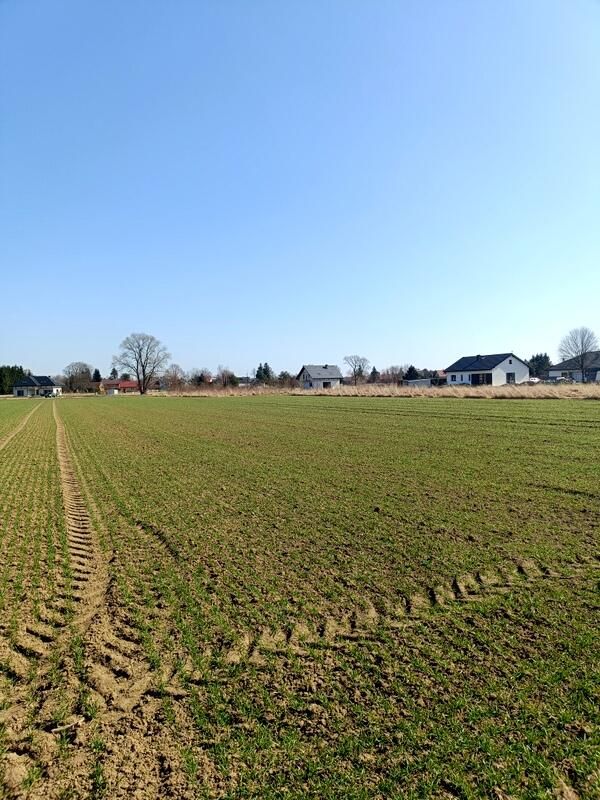 Działka budowlana Świerzowa Polska. Zdjęcie 5