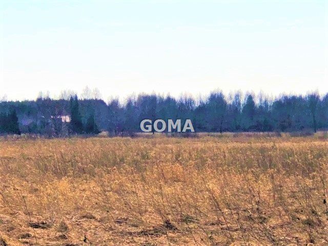 Działka siedliskowa Dębe Wielkie. Zdjęcie 3