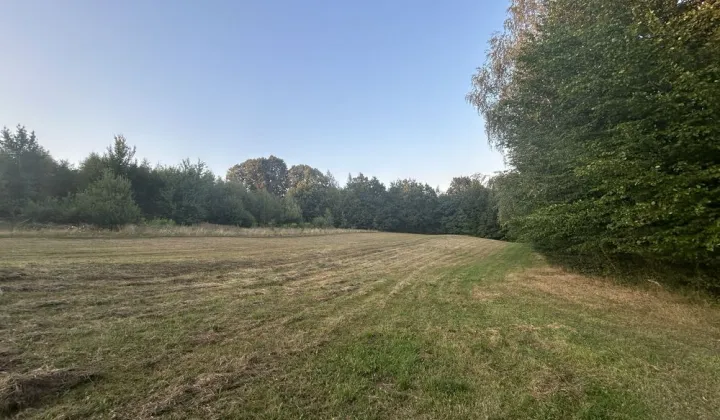 Działka budowlana Stare Rybie