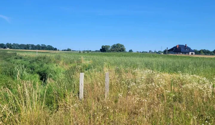 Działka budowlana Lisice