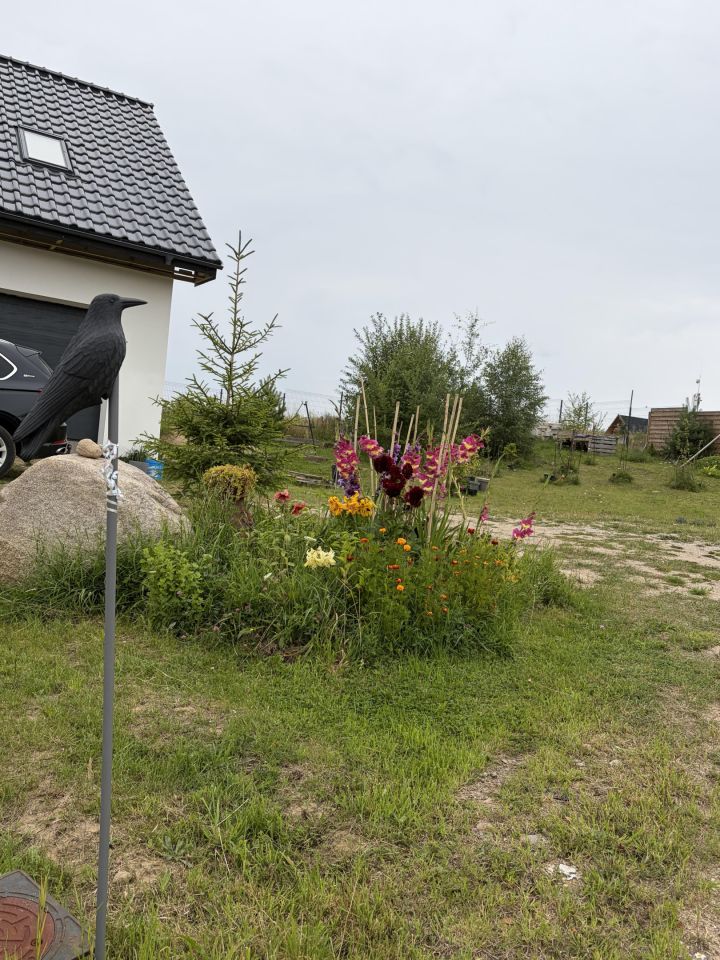 dom wolnostojący, 4 pokoje Żółte. Zdjęcie 8