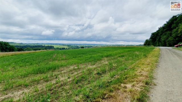 Działka rolna Grzegorzówka. Zdjęcie 5