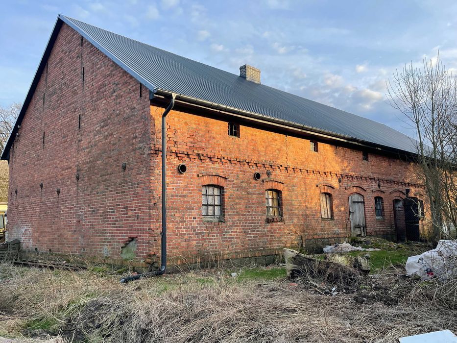 Lokal Jenikowo. Zdjęcie 1