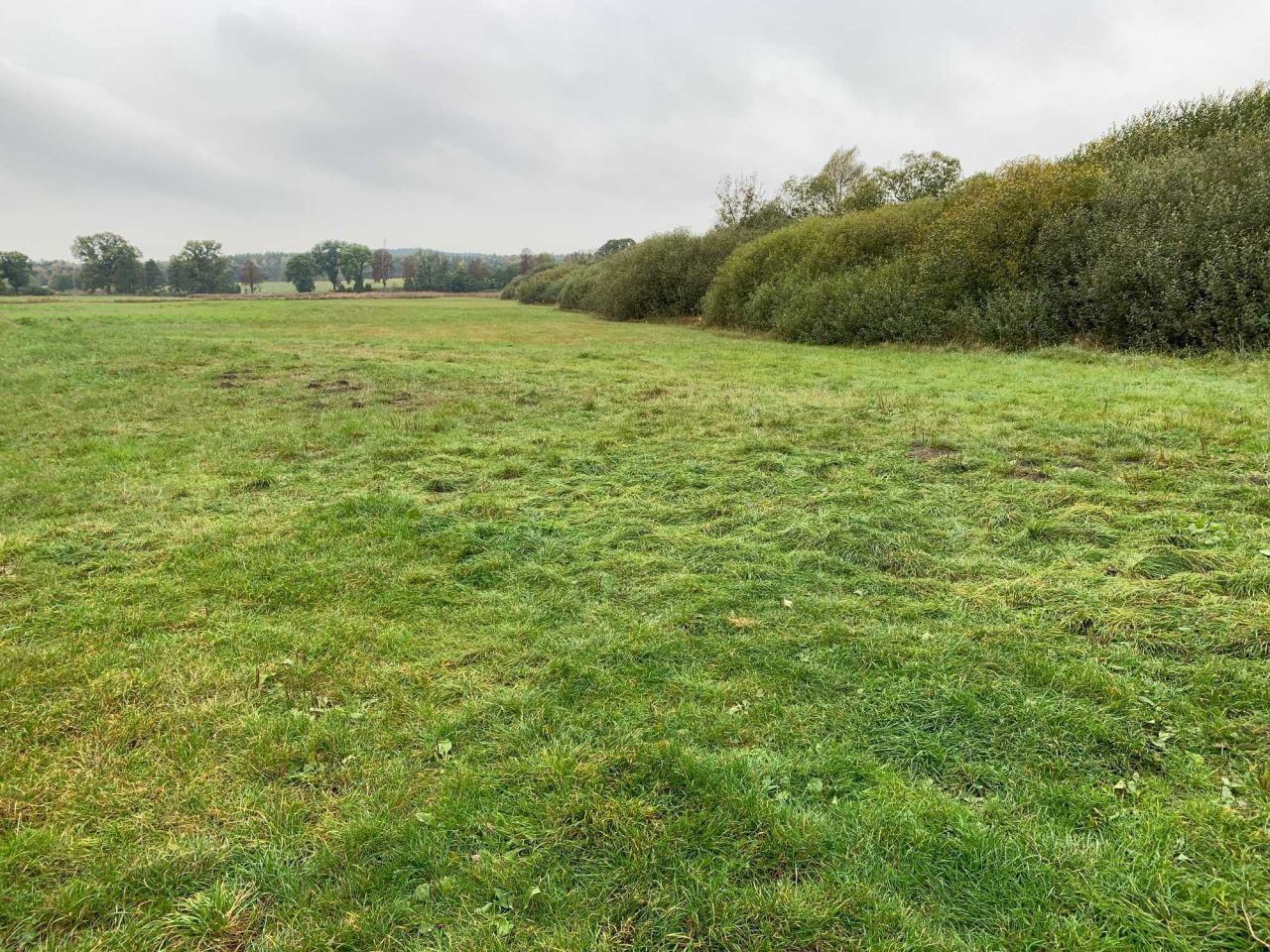 Działka rolna Smerzyn. Zdjęcie 7