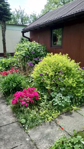 Działka rod Tarnów Mościce, ul. Romualda Traugutta. Zdjęcie 1