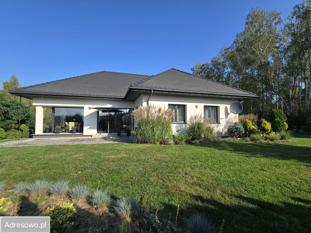 dom wolnostojący, 4 pokoje Borchówka