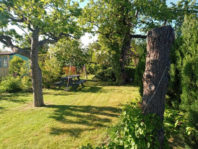 Działka rod Gdynia Oksywie, ul. Stanisława Żółkiewskiego. Zdjęcie 1