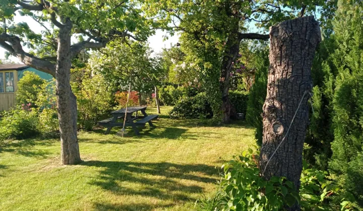 Działka rod Gdynia Oksywie, ul. Stanisława Żółkiewskiego