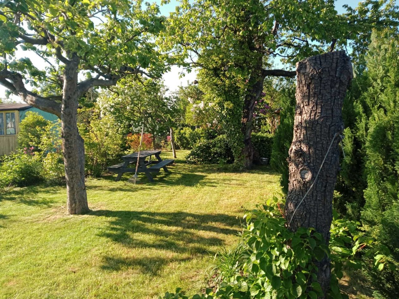 Działka rod Gdynia Oksywie, ul. Stanisława Żółkiewskiego. Zdjęcie 1