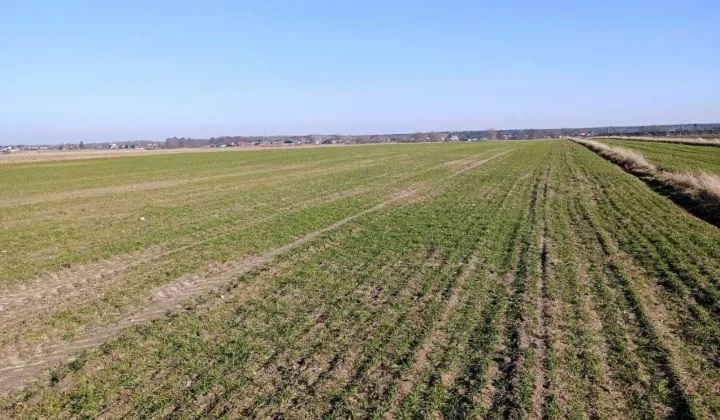 Działka rolno-budowlana Rzeczyca