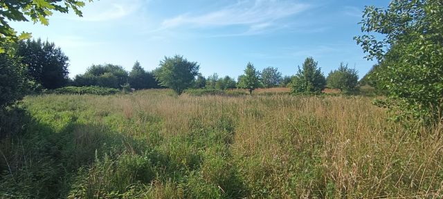 Działka rolna Koszalin Łabusz. Zdjęcie 1