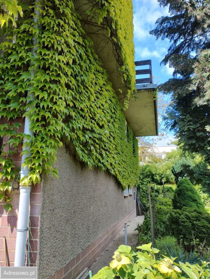 bliźniak, 8 pokoi Wrocław Wojszyce. Zdjęcie 7