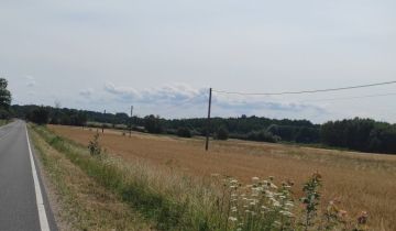 Działka rolno-budowlana Kolonia Pęcławska