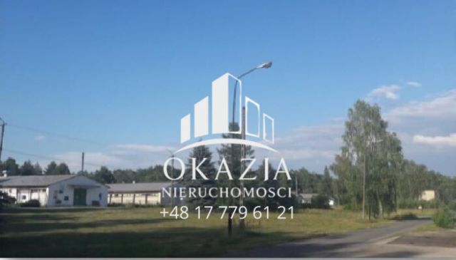 Hala/magazyn Wysoka Głogowska. Zdjęcie 4