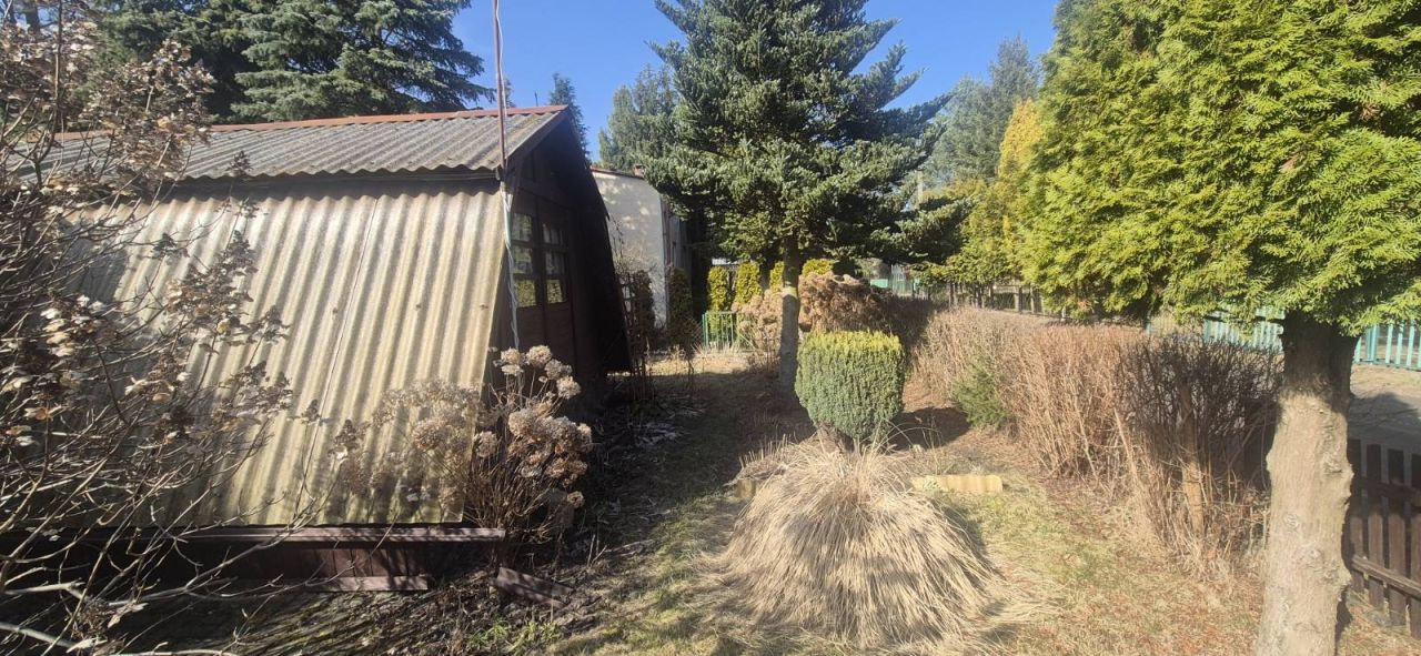 Działka rod Wrząca, ul. Wrzosowa. Zdjęcie 14