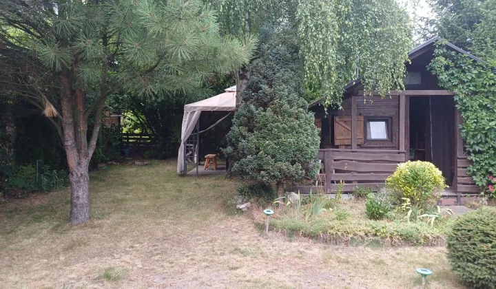 Działka rod Wolbrom, ul. Miechowska