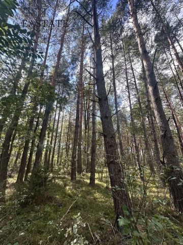 Działka leśna Kamianka. Zdjęcie 6