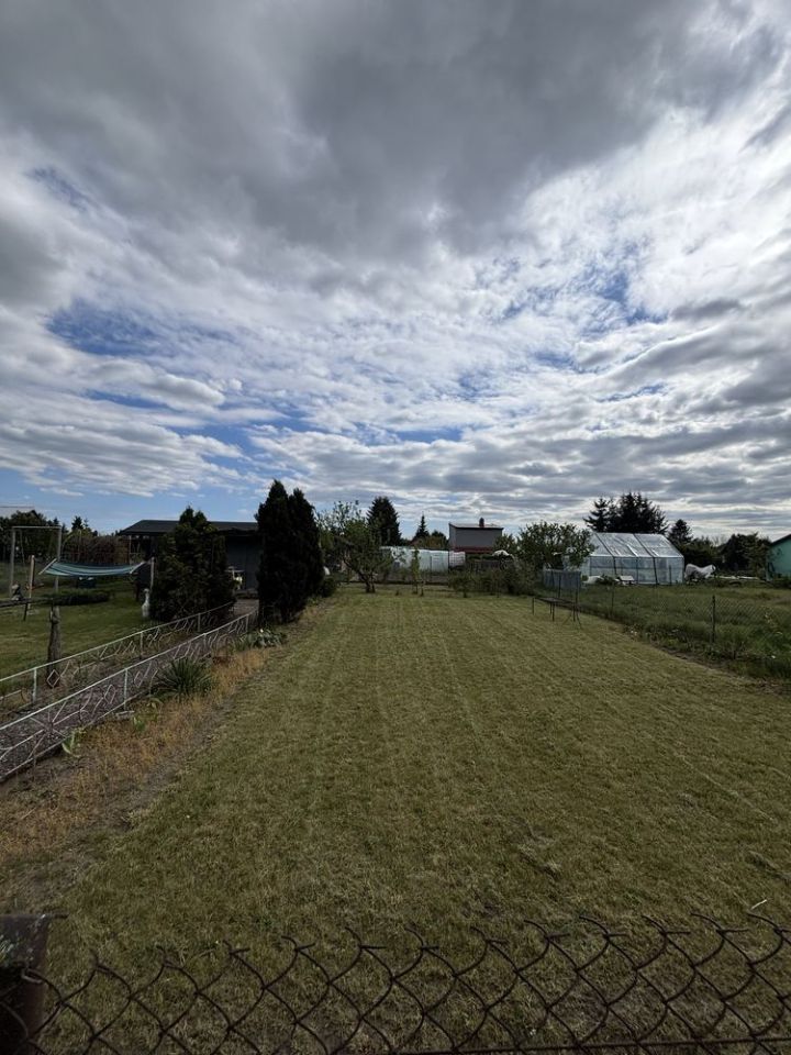 Działka rod Czarne. Zdjęcie 7