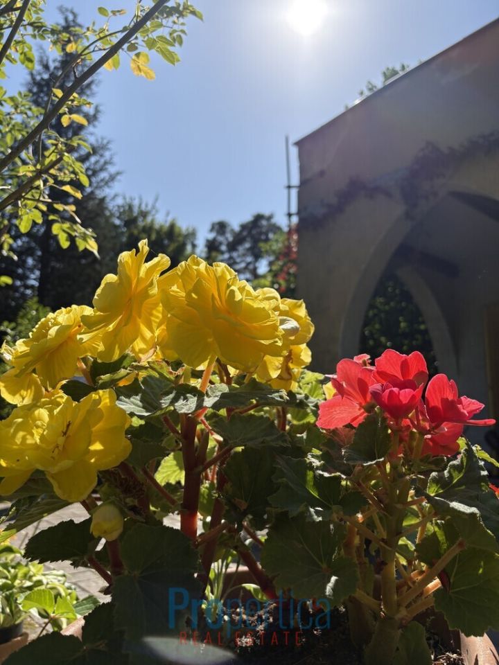 Działka budowlana Konstancin-Jeziorna, ul. Tadeusza Kościuszki. Zdjęcie 5