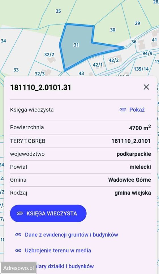 Działka budowlana Grzybów. Zdjęcie 3