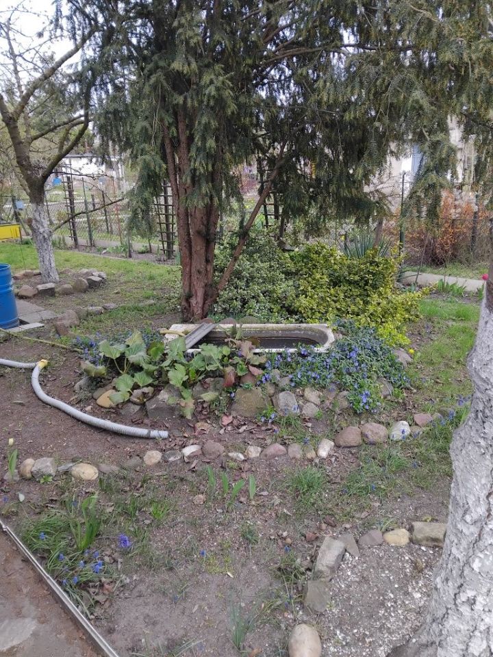 Działka rod Wrocław Księże Małe. Zdjęcie 5