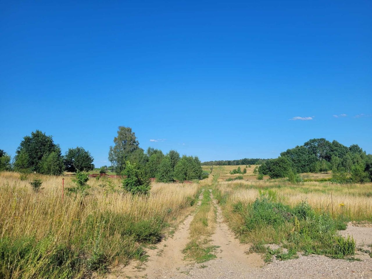 Działka rolna Nowe Marcinkowo. Zdjęcie 2