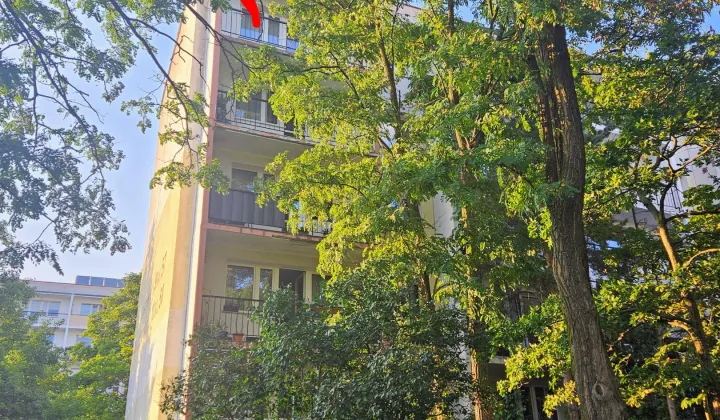 Mieszkanie 3-pokojowe Łódź Radogoszcz, ul. 11 Listopada