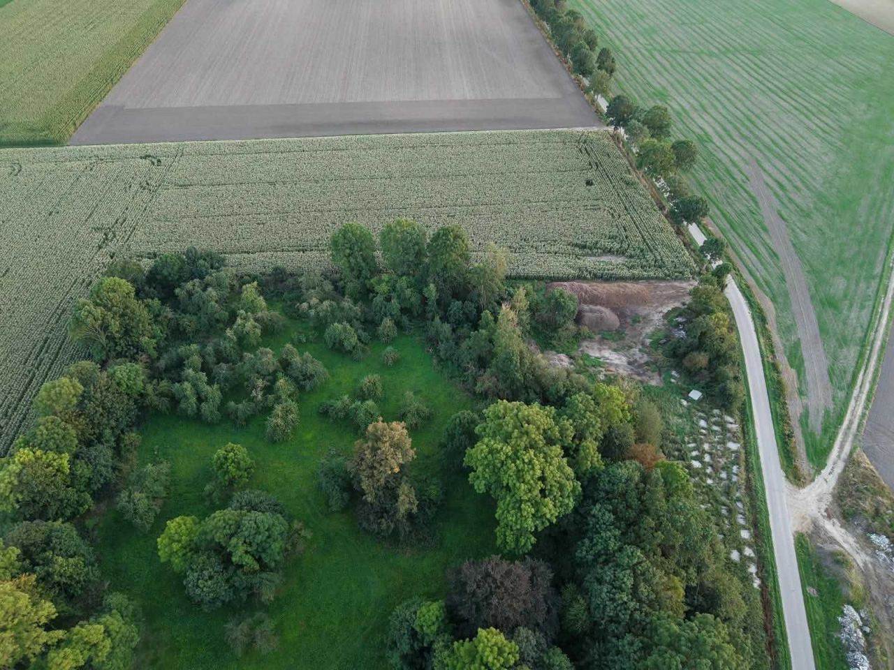 Działka rolna Wiśniewo. Zdjęcie 5
