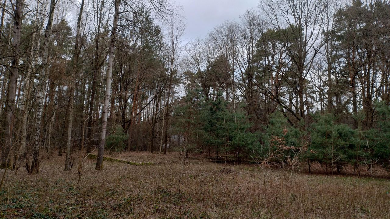 Działka budowlana Zofiówka, ul. Cmentarna. Zdjęcie 22