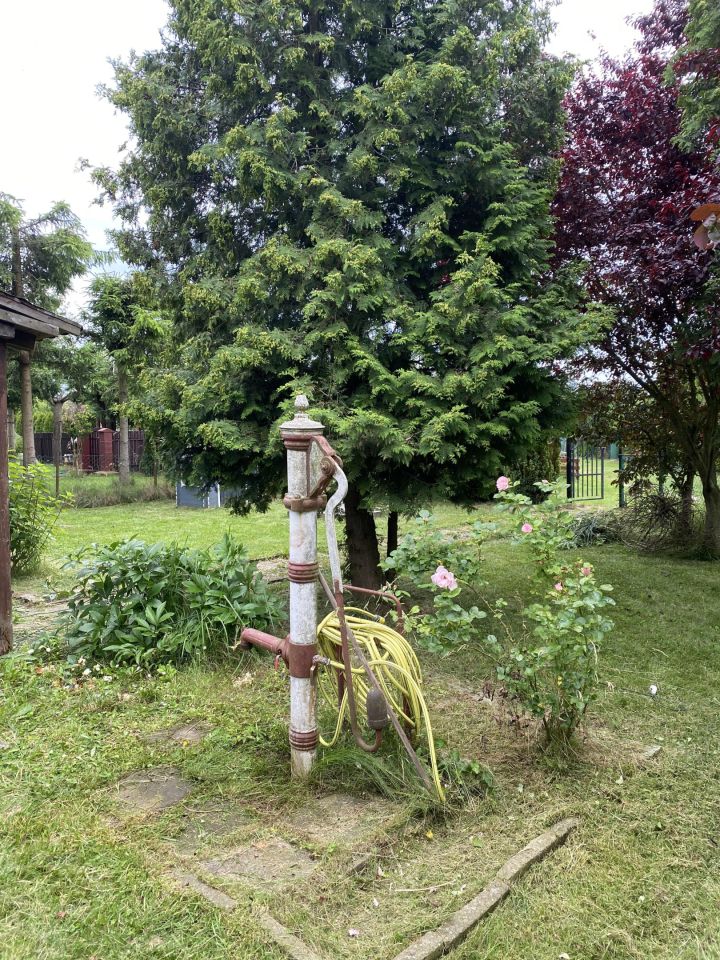 Działka rod Wągrowiec, ul. Nad Nielbą. Zdjęcie 10