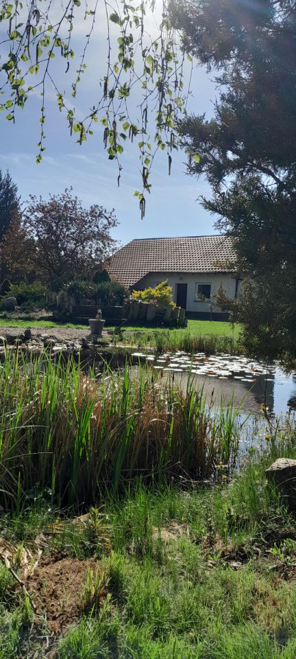 dom wolnostojący, 5 pokoi Piła Motylewo, ul. Sowia. Zdjęcie 20