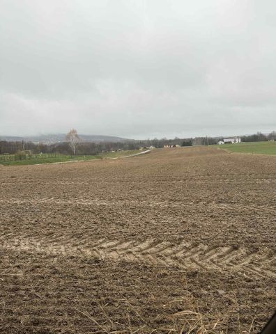 Działka rolno-budowlana Jeleniów. Zdjęcie 1