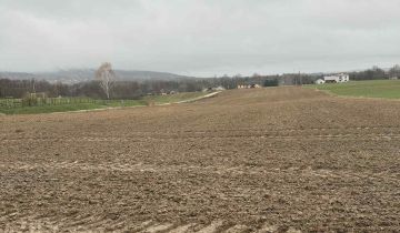 Działka rolno-budowlana Nowa Słupia, Jeleniów