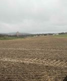 Działka rolno-budowlana Nowa Słupia, Jeleniów