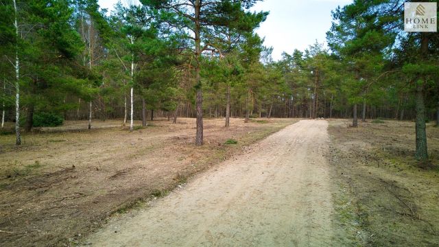 Działka inwestycyjna Maróz. Zdjęcie 19