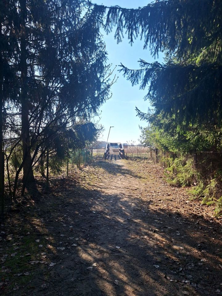 Działka rekreacyjna Stare Załubice, ul. Euzebii. Zdjęcie 8