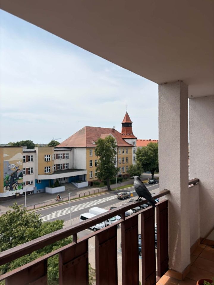 Mieszkanie 3-pokojowe Piła Zamość, ul. Bydgoska. Zdjęcie 6