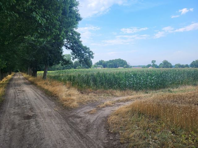 Działka budowlana Dziadów Most. Zdjęcie 1