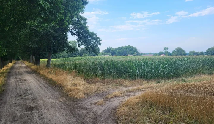 Działka budowlana Dziadów Most