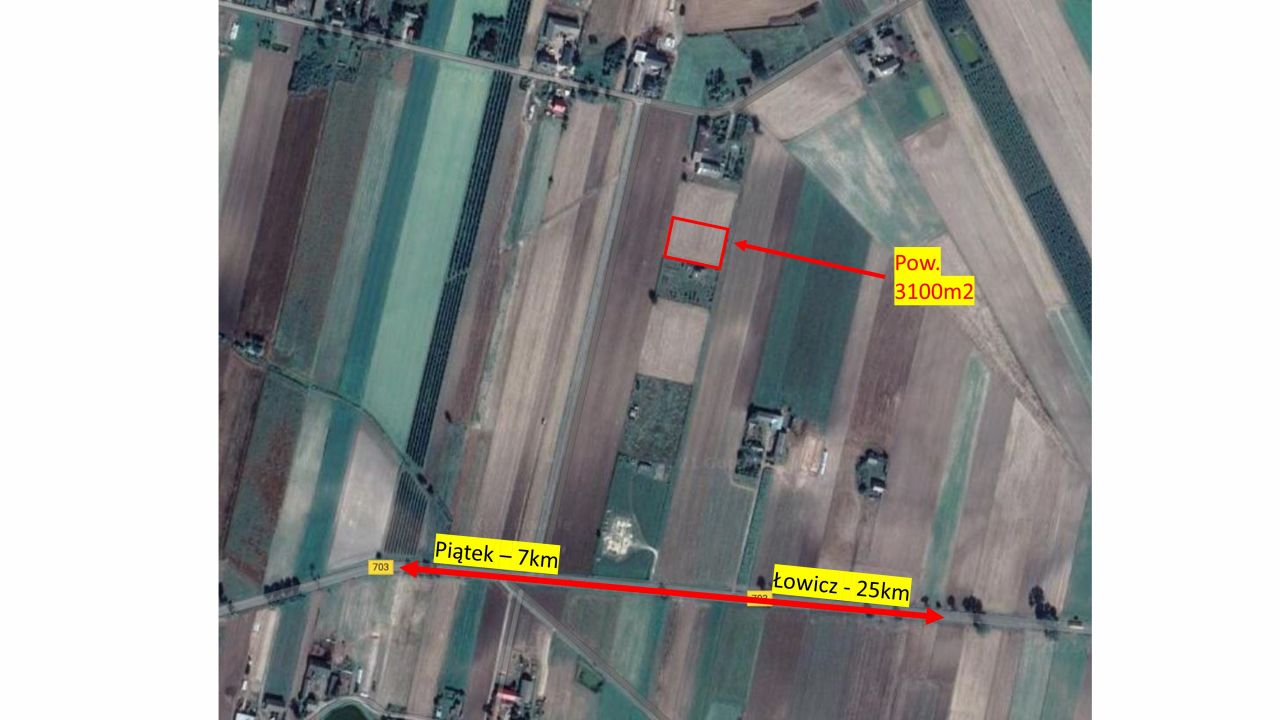 Działka rolno-budowlana Drogusza Drogusza Leśna. Zdjęcie 2