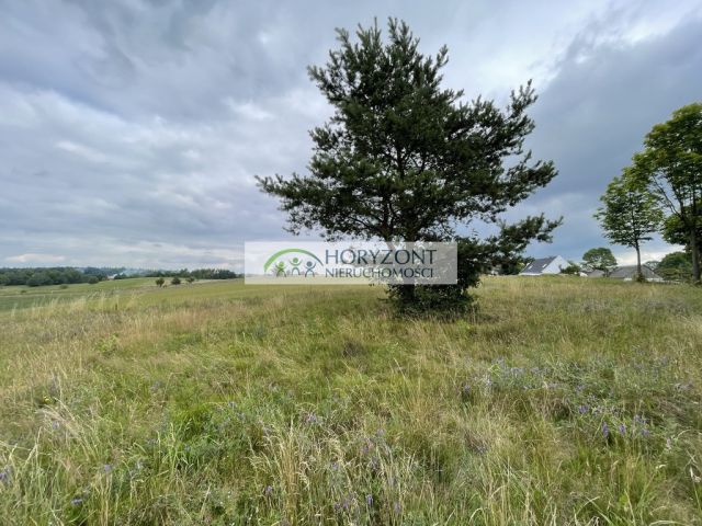 Działka Nowa Wieś Przywidzka. Zdjęcie 8