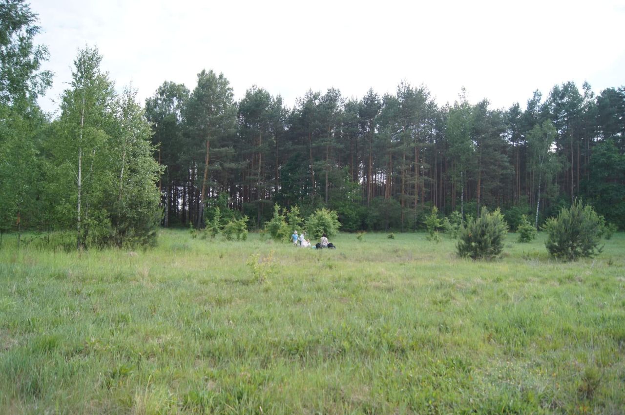 Działka rekreacyjna Udrzyn, ul. Sosnowa. Zdjęcie 4