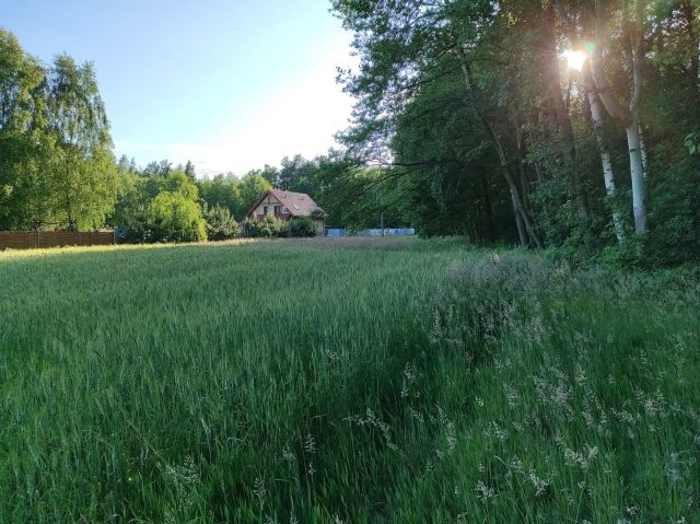 Działka budowlana Trąbki Czechy, ul. Graniczna. Zdjęcie 1