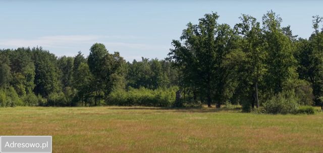 Działka rolna Dobrochów. Zdjęcie 1