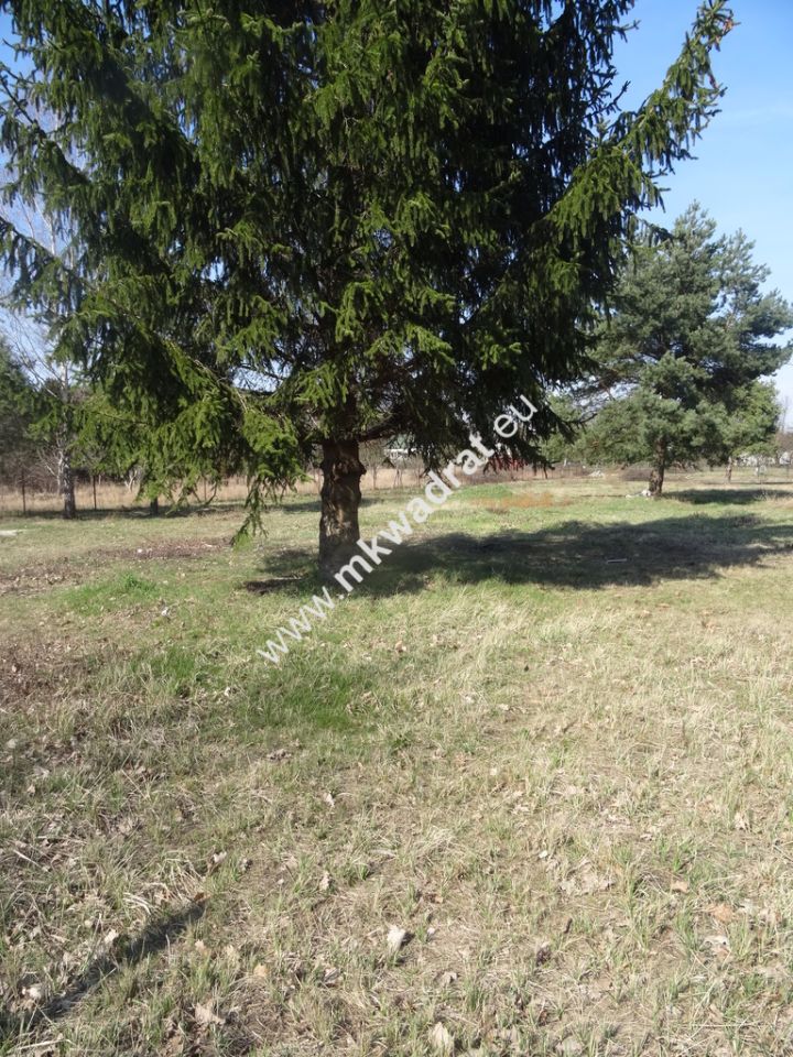 Działka budowlana Komorów. Zdjęcie 10